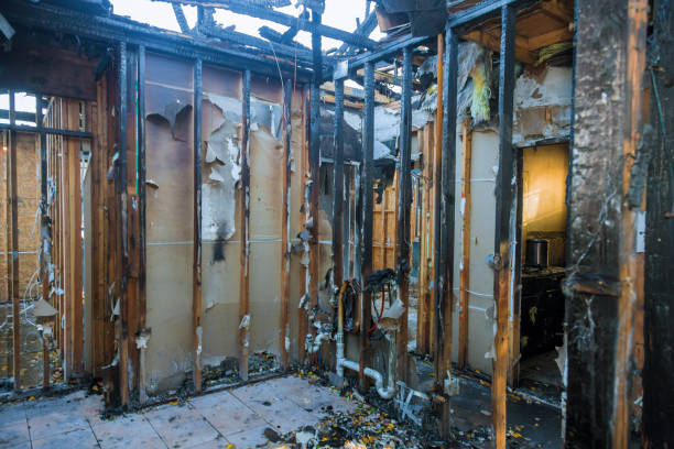 Professional Fire Damage Removal technician working in Los Angeles, CA